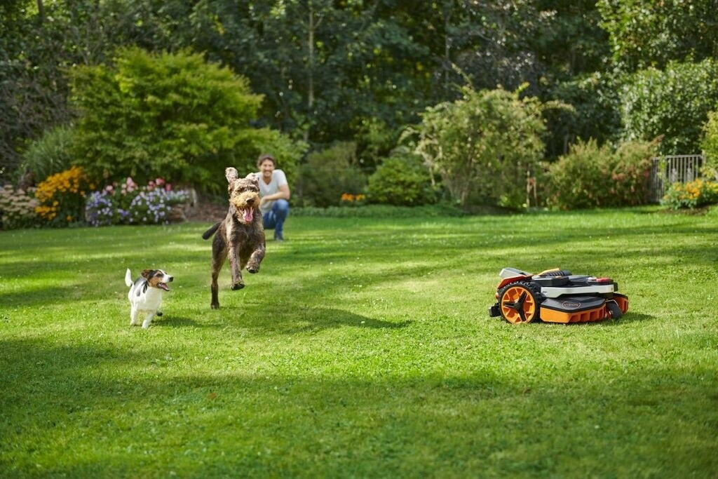 Worx Vision Landroid M800 WR208E  – Bild 5